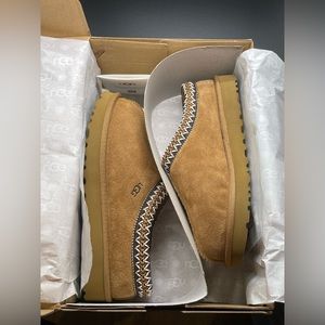 Brown Tasman UGG Slipper🤎